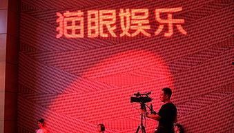 猫眼娱乐大爆料,揭秘娱乐圈幕后真相与明星幕后故事